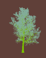 greenshift tree