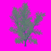 greenshift tree