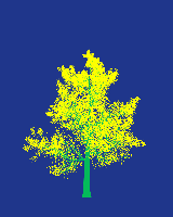 greenshift tree