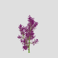 greenshift tree