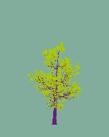 greenshift tree