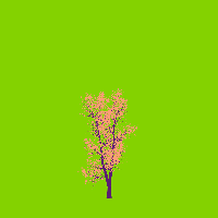 greenshift tree