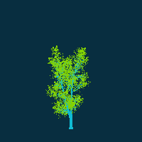 greenshift tree