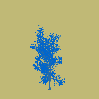 greenshift tree