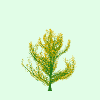 greenshift tree