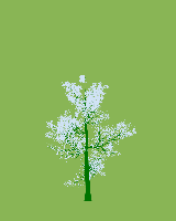 greenshift tree