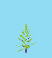 greenshift tree