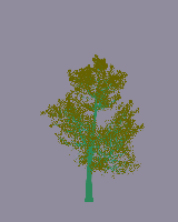 greenshift tree
