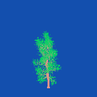 greenshift tree