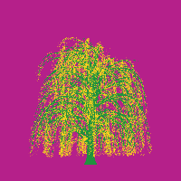 greenshift tree
