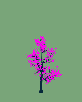 greenshift tree