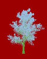 greenshift tree