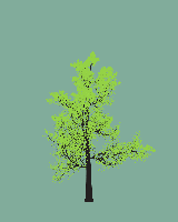 greenshift tree