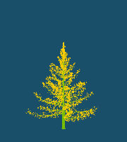 greenshift tree