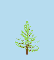 greenshift tree