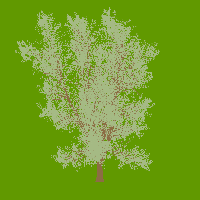 greenshift tree