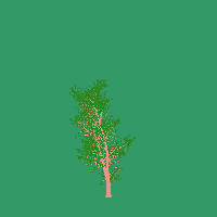 greenshift tree