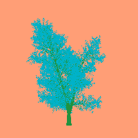 greenshift tree