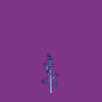greenshift tree