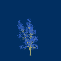 greenshift tree