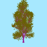 greenshift tree