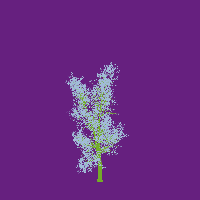 greenshift tree