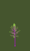 greenshift tree