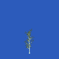 greenshift tree