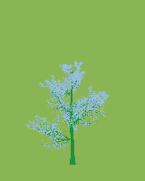 greenshift tree