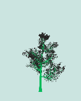 greenshift tree