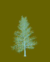 greenshift tree