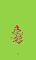 greenshift tree