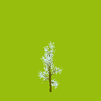 greenshift tree