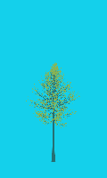 greenshift tree