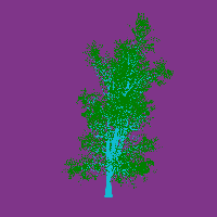 greenshift tree