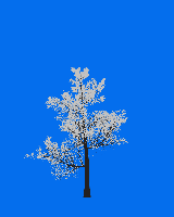 greenshift tree