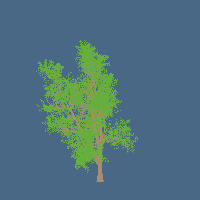 greenshift tree
