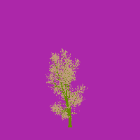 greenshift tree