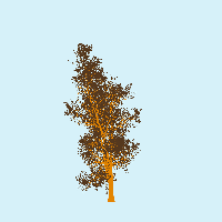 greenshift tree