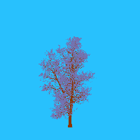 greenshift tree
