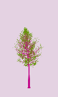 greenshift tree