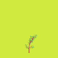 greenshift tree