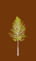 greenshift tree