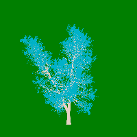 greenshift tree