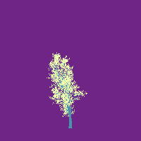 greenshift tree