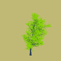 greenshift tree