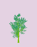 greenshift tree