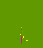 greenshift tree