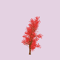 greenshift tree