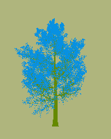 greenshift tree